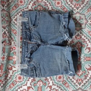 Ellemenno Distressed Cutoff Shorts, Size 8.5